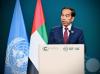 Jokowi Beberkan Upaya Indonesia Turunkan Emisi Karbon dan Deforestasi di COP28 