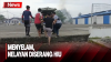  Menyelam Cari Gurita, Nelayan di Nias Kritis Setelah Diserang Hiu 
