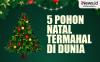 Infografis 5 Pohon Natal Termahal di Dunia