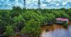 Mengintip Keindahan Hutan Bakau Sungai Kupah Kalbar, kini Jadi Destinasi Unggulan