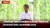 Jokowi Resmikan Proyek Nusantara Superblock, Sebut IKN Bakal jadi Ibu Kota Kelas Dunia