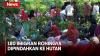 180 Imigran Rohingya Diusir Warga Pidie, Dipindahkan ke dalam Hutan