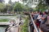 90.000 Orang Liburan di Taman Margasatwa Ragunan - Bagian 2