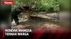 Detik-Detik Warga Kabupaten Bombana Tangkap Buaya Muara 4 Meter