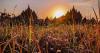 Kampung Unik di Klaten Punya Pemandangan Sunset Cantik Berlatar Candi Kembar 
