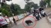 Heboh 2 Babi Berkeliaran di Jalanan Bandung sampai Masuk Kantor Camat