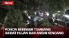 Pohon Beringin Tumbang akibat Hujan dan Angin Kencang di Jakarta Barat