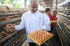 Ganjar Pranowo Akan Fasilitasi Peternak Ayam Buat Pakan Ternak Sendiri - Bagian 2