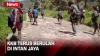 Terus Berulah, KKB Kembali Bakar 4 Rumah Warga Bantuan Dinsos di Intan Jaya