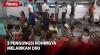 3 Pengungsi Rohingya di Balai Meuseuraya Aceh Melarikan Diri
