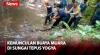 Warga Yogya Digegerkan Kemunculan Buaya Muara yang Tiba-Tiba Muncul di Sungai Tepus