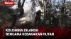 Pemerintah Kolombia Mengumumkan Bencana Kebakaran Hutan diluar Ibu Kota Bogota