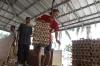 Harga Telur Ayam Melonjak hingga Rp31.000 per Kilogram - Bagian 3