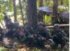 Pasukan TNI Kontak Tembak dengan 5 Anggota KKB di Nduga, 1 Orang Tertembak
