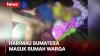 Ngeri, Sedang Tertidur dalam Rumah Bocah 2 Tahun Diserang Harimau Sumatera di Siak