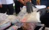 Polda Jateng Ungkap Peredaran 52 Kg Sabu dan 35.050 Butir Ekstasi - Bagian 4