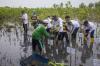 Pertamina EP dan SKK Migas Tanam Bibit Mangrove di Pesisir Cirebon - Bagian 2