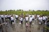 Pertamina EP dan SKK Migas Tanam Bibit Mangrove di Pesisir Cirebon