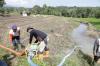 Dorong Percepatan Tanam, Mentan Imbau Pejabat Pertanian Segera Turun ke Sawah