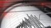 Gempa Terkini M4,0 Guncang Sabu Raijua NTT