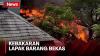 Kebakaran Landa Lapak Barang Bekas dan Rumah Kontrakan Semi Permanen di Kebon Jeruk