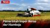 Mentan Ungkap Impor Beras dari Kamboja Untuk Amankan Stok Jelang Lebaran