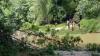 Jatuh Terpeleset, Bocah 13 Tahun Hilang Tenggelam di Sungai Oya Gunungkidul