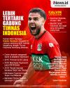 Infografis Alasan Calvin Verdonk Lebih Tertarik Gabung Timnas Indonesia Ketimbang Belanda