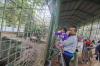 Taman Margasatwa Ragunan Ramai saat Libur Hari Kedua Lebaran 2024 - Bagian 3
