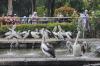 Taman Margasatwa Ragunan Ramai saat Libur Hari Kedua Lebaran 2024 - Bagian 4