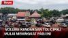 Puncak Arus Balik Lebaran 2024, Tol Cipali Jalur B KM 101 Pagi Ini Macet