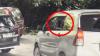Taman Safari Tegur Mobil Pengunjung yang Nekat Buka Kaca di Zona Singa