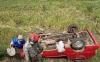 Kecelakaan di Kendal, Mobil Pikap Angkut Wisatawan Terbalik ke Sawah