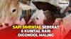 Pencuri Spesialis Hewan Ternak Curi Sapi Simental Seberat 6 Kuintal di Cilacap