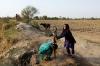 Pakistan Masih Dilanda Gelombang Panas, Suhu Udara 49 Derajat Celsius - Bagian 2