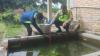 Tragis, Bocah 2,5 Tahun di OKU Sumsel Tewas Tenggelam di Kolam Ikan Dekat Rumah