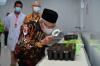 Wapres Ma'ruf Amin Dukung Papua Selatan Jadi Pusat Industri Gula