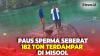 Penemuan Bangkai Paus Sperma Seberat 182 Ton Gegerkan Warga Misool Raja Ampat