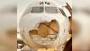 Horor! Hidung Pesawat Airbus A320 Austrian Airlines Terkelupas Diterjang Badai Es