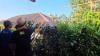 Viral Hewan Kurban Kabur ke Genting Rumah Warga di Cianjur, Dievakuasi Gunakan Tangga