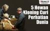 Infografis 5 Hewan Hasil Kloning yang Sukses Mencuri Perhatian Dunia 