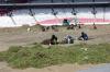Revitalisasi Rumput Lapangan Stadion GBK - Bagian 5