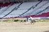 Revitalisasi Rumput Lapangan Stadion GBK - Bagian 3