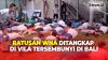 Diduga Sindikat Kejahatan Siber, Ratusan WNA Ditangkap Dalam Vila Tersembunyi di Bali
