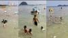 Viral Pantai Pasir Putih Lampung Dipenuhi Sampah, Wisatawan Malah Asyik Berenang
