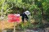 Program Plan & Plant Tanam Tanam 10.000 Pohon Mangrove - Bagian 1