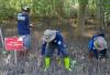 Program Plan & Plant Tanam Tanam 10.000 Pohon Mangrove - Bagian 3