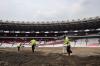 Proses Revitalisasi Rumput Stadion Utama GBK  - Bagian 4
