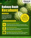 Infografis Bahaya Buah Kecubung, Bisa Sebabkan Kematian