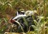 Mayat Dalam Karung di Ladang Jagung Gegerkan Warga Lampung Timur